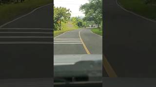 Download lagu JALUR TURUNAN ALAS ROBAN mp3