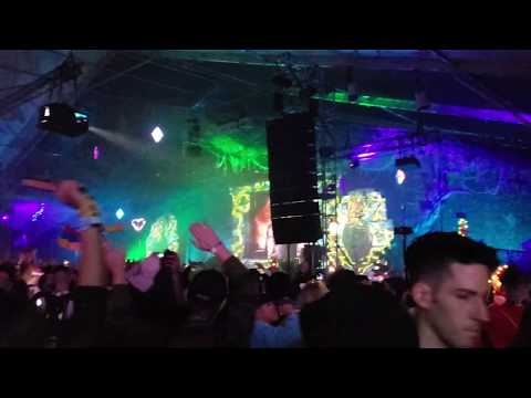Vini vici half set @ DreamState SoCal 2019