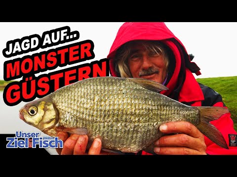 FISH on FISH in WINTER? SUCCESS METHOD for CAPITAL GÜSTERN - Our goal is fish with Jörg Ovens