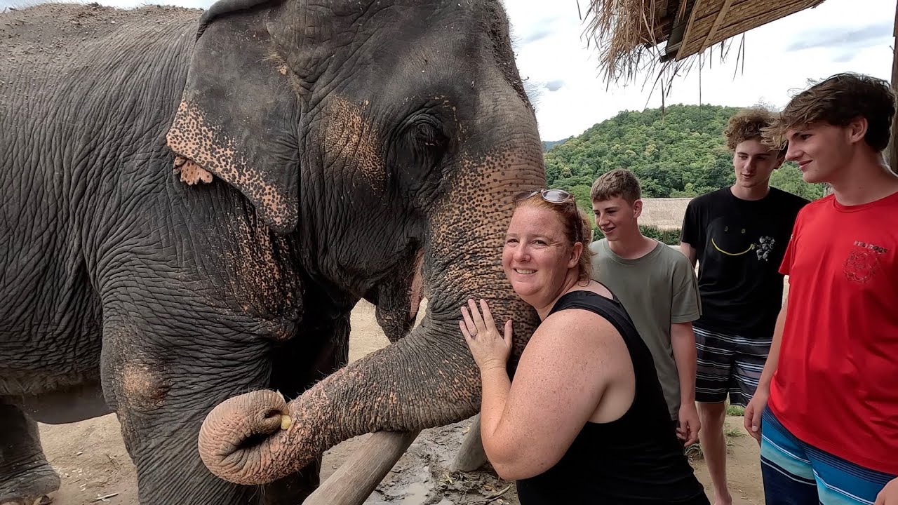 These elephants are saving lives.