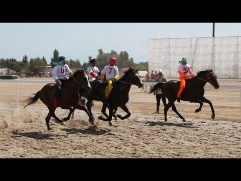 Une course de pur-sang au galop sur 22 kms au Kirghizistan