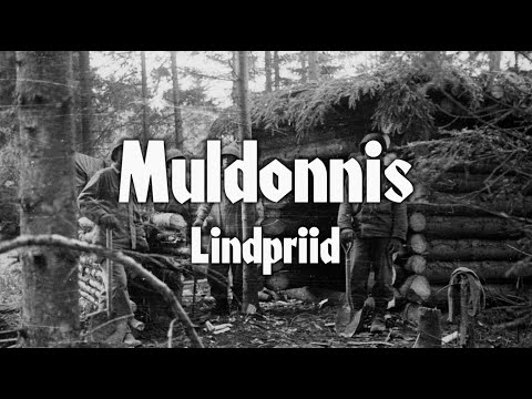 Lindpriid - Muldonnis (Sõnadega)