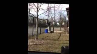 Fat boy's can't jump the fence