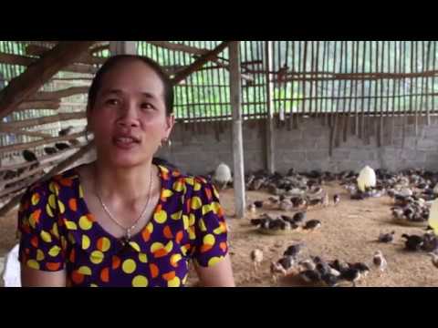 download lagu mp3 mp4 Audio Postcard, download mp3 Audio Postcard free download mp3, download mp3 Audio Postcard