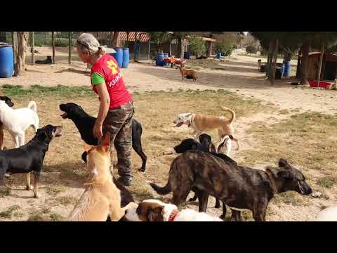 Vídeo de KIARA