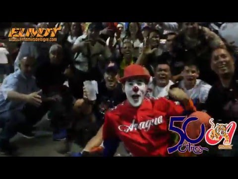 Tigres de Aragua clasifica a la Gran Final 2015 2016