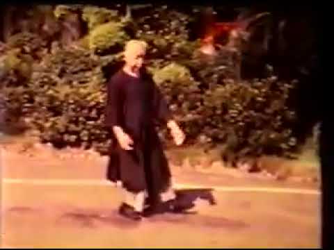 Cheng Man Ching demonstrating part of his 37 step taijiquan solo hand form