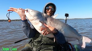 Kayak Fishing for GIANT Catfish. These fish were HUGE!