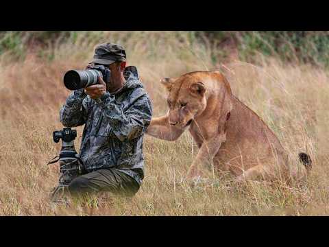 SHOCKING Wild Animal Encounters With Photographers 🤪 Funny Animal Videos 2025