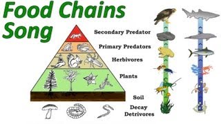 Bài hát Food Chains - Nghệ sĩ trình bày Glenn Wolkenfeld