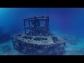 Дно океана. Дайвинг панорамное видео в 3d 360 градусов