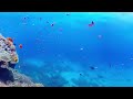 Дно океана. Дайвинг панорамное видео в 3d 360 градусов