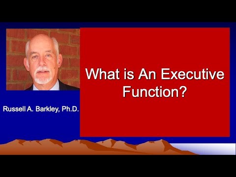 What is an Executive Function?