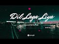 Dil Laga Liya Maine Cover Slowed Reverb Heart Touching Female Version Lofi Song