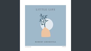Little Life