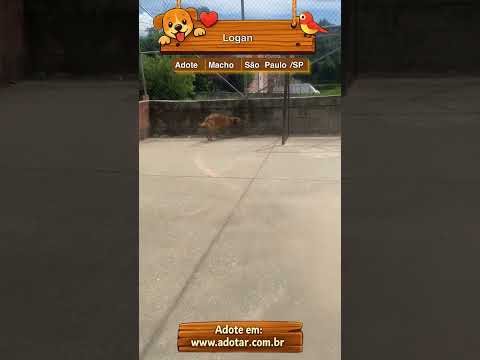 Vídeo de Logan