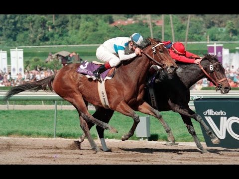 1993 Breeders' Cup - Full Television Broadcast