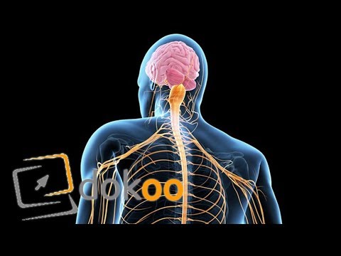 Leben mit ALS - Besonders normal | Doku