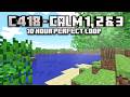 C418 - Calm 1, 2 & 3 | 10 Hour Perfect Loop in Minecraft Classic [0.0.22a]
