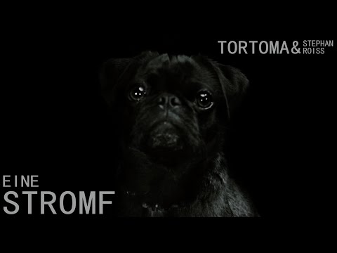 TORTOMA & STEPHAN ROISS - EINE STROMF [2019]