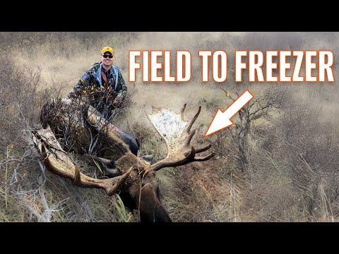A COMPLETE Alaskan Moose Hunt: From Field to Freezer (And Our Gear)