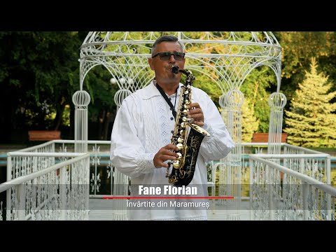 Fane Florian -  Invartite din Maramures