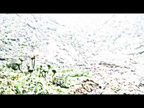 Salgre　1:42　Jimmy Fontanez/Media Right Productions