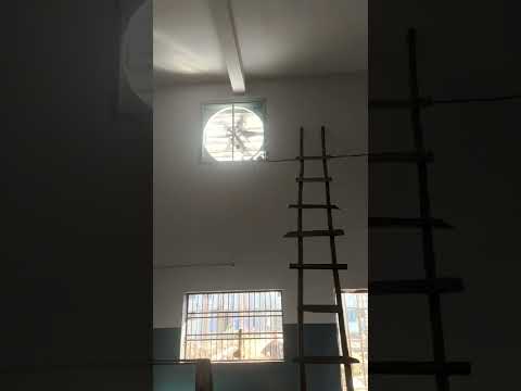 Variya Cattle Farm Exhaust Fan