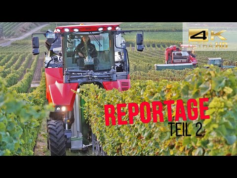 Zu Besuch auf dem Weingut Kitzer (ERO Vollernter & Fendt Traktoren | Teil 2 🍷)