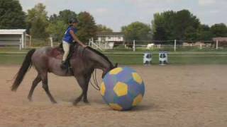 preview picture of video 'Equi-soccer - playing soccer on horse back'