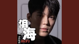 Download lagu 泪海 mp3