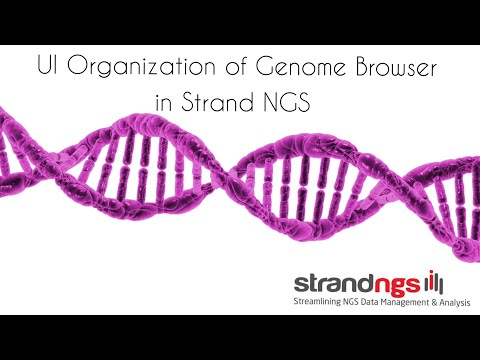 UI Organization of Genome Browser in Strand NGS