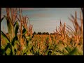 Hans Zimmer - Cornfield Chase (slowed + reverb)