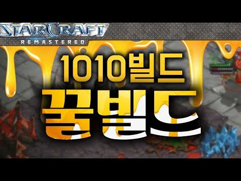 Zerg Matchup 1010 Sweet Build ~ Demonstration Video [StarCraft Tutorial]