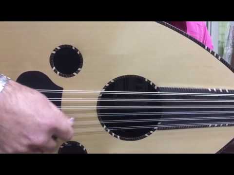 Maurice Shehata Oud ASEEL - 2768