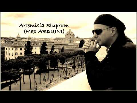 Max ARDUINI - Artemisia stuprum | 2010