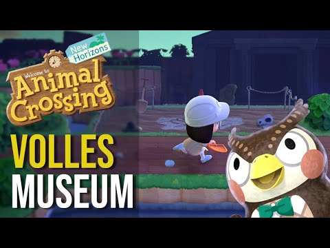Museum EASY voll bekommen + MUSEUMSTOUR | ANIMAL CROSSING NEW HORIZONS #newhorizons #museum