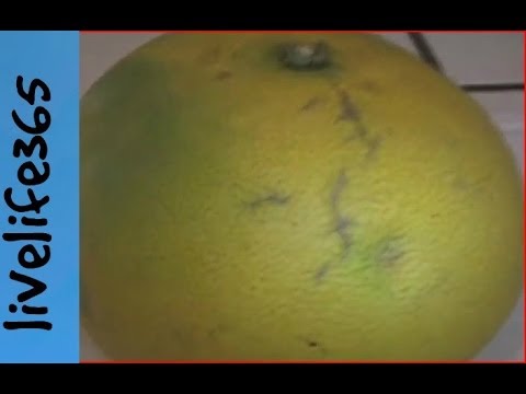Kung paano mangayayat sa bahay gamit herbs Kung paano mapupuksa ng tiyan sa mga larawan