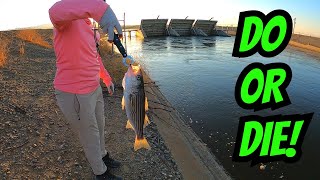We're Back!! | Delta Mendota Canal Striper Fishing | CA Aqueduct Fishing | Iu Mien Fishing