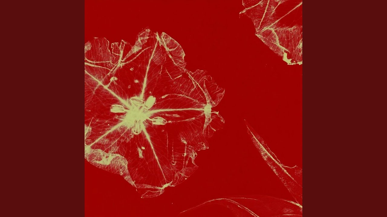 The Devil's Trumpet (feat. Amos Miller) - YouTube