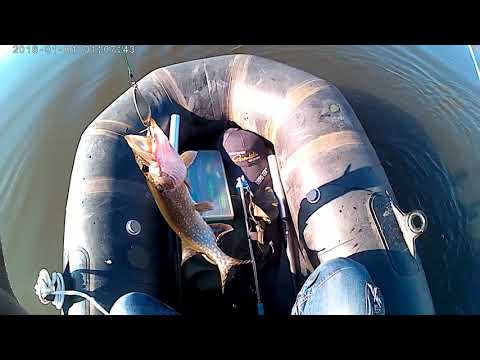 СЕГОДНЯ ЩУКА ЖРЁТ ВСЁ!! Crazy pike ate all the bait!