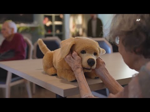 Jennie Review Video 4