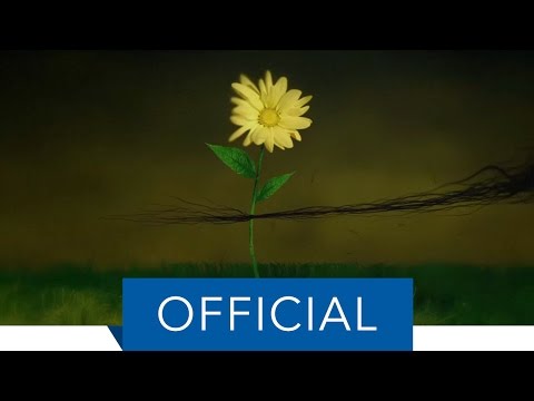 Sturgill Simpson - In Bloom (Official Video)