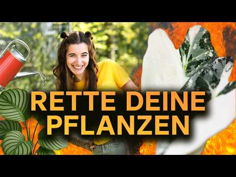 🔥 5 houseplants that (almost) every beginner kills – How to make them survive with you! 🚑