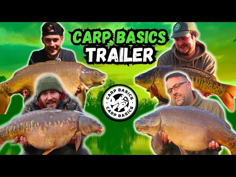Get Ready to Catch More Carp with Our Expert Tips!