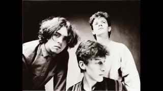The Icicle Works - The Atheist (Studio Version)