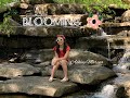 Blooming Original By Ashley Marina Official Video