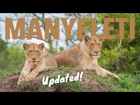 Manyeleti Game Reserve - UPDATED! The Lowveld's best-kept secret
