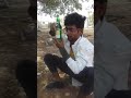 Myna Myna Ninhe Nanna