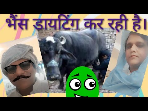 Rajiv Srivastava Dr Rajiv funtastic